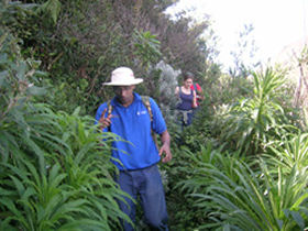 Kerala activity holiday, India